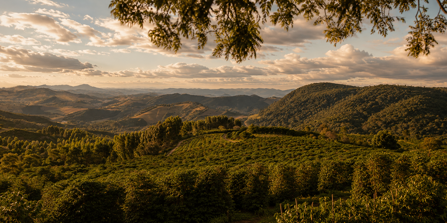 Fazenda Paraíso, Conceição das Pedras — MG